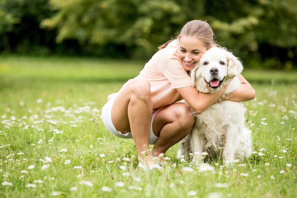 primavera-cani